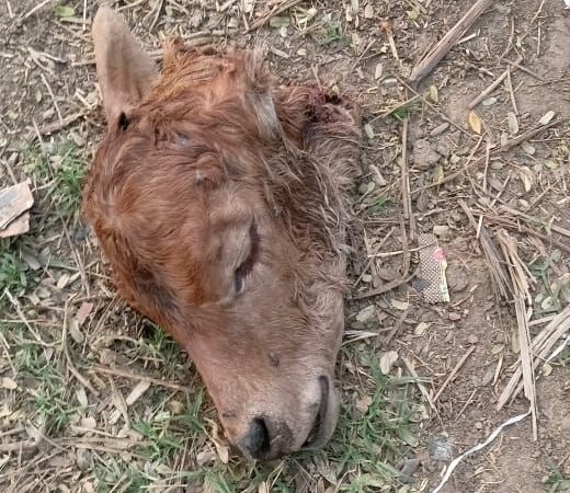 सांप्रदायिक हिंसा की आशंका?पुलिस प्रशासन समय रहते आरोपियों को करे गिरफ्तार !