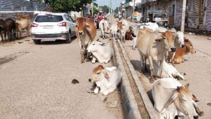 आंखों पर बंधी पट्टी हटाओ,कलियुगी me lords