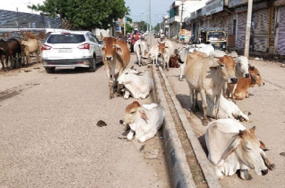 आंखों पर बंधी पट्टी हटाओ,कलियुगी me lords